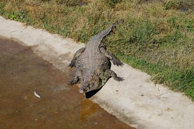 Прикрепленное изображение: A58DSC00249-1.jpg